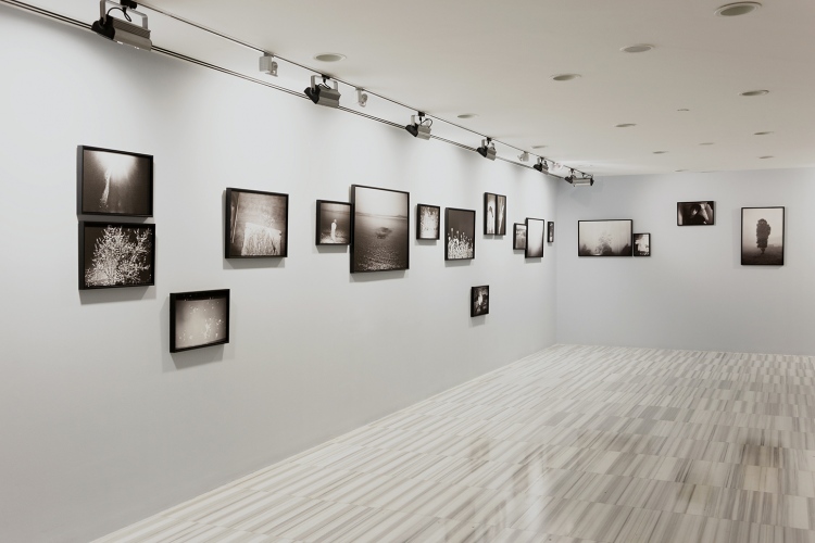 '&amp;nbsp;turnaround/geri bak&amp;nbsp;', curated by Ilgın Deniz Akseloğlu, Operation Room Gallery, Istanbul, 2015 &amp;copy;&amp;nbsp;Operation Room Gallery